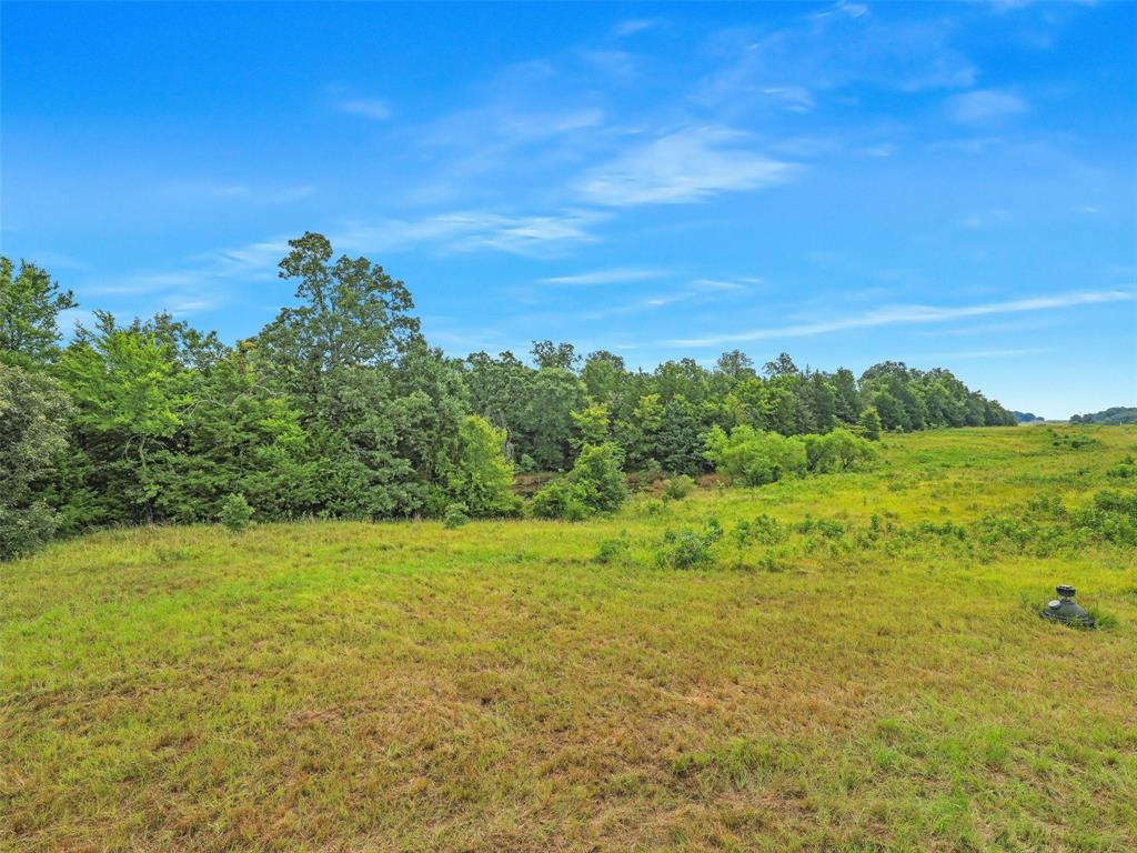 37100 County Road Sumner, TX 75486 - Photo 16 of 40 a view of a field with an ocean