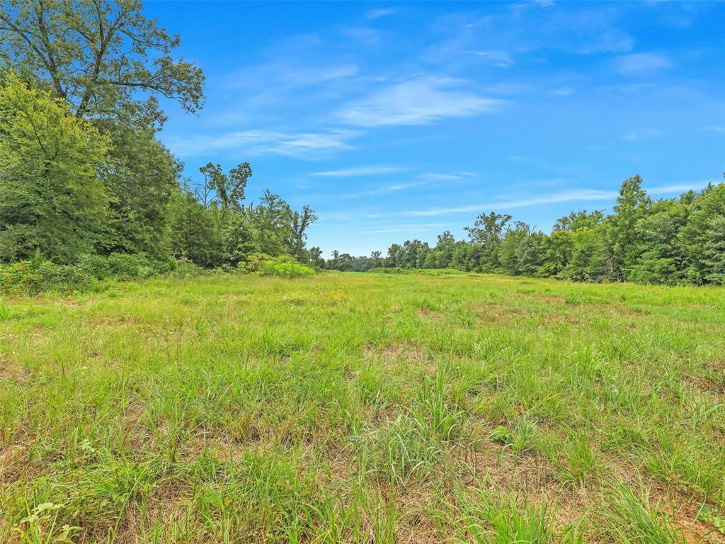 37100 County Road Sumner, TX 75486 - Photo 19 of 40 a view of a field with an ocean