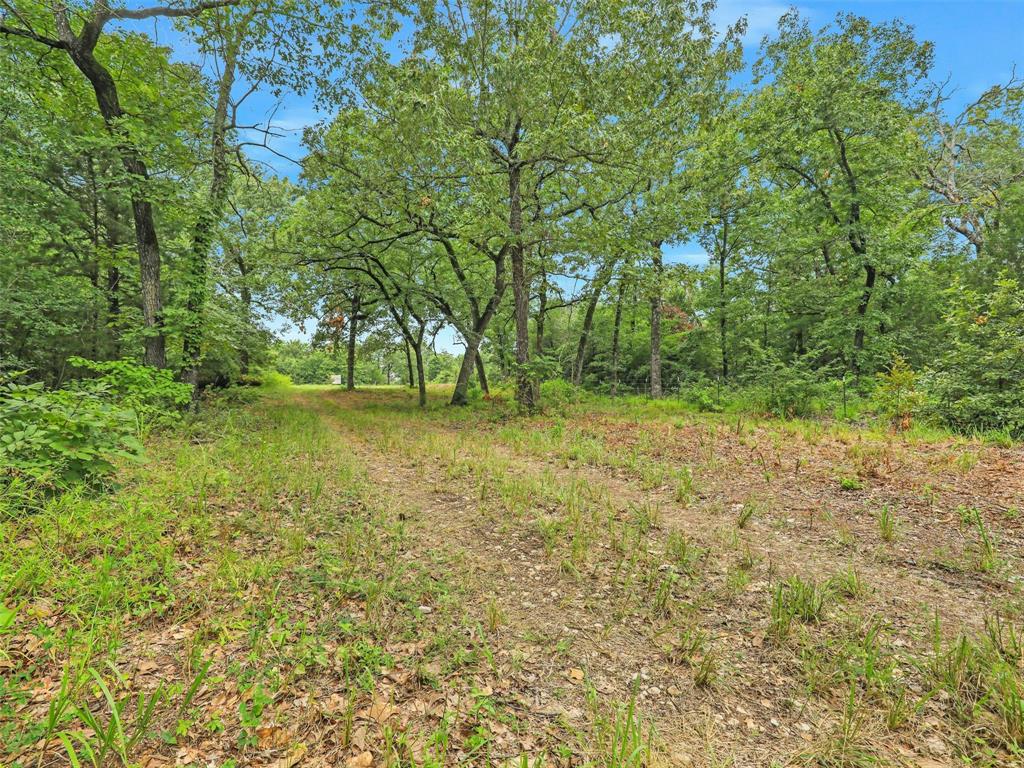 37100 County Road Sumner, TX 75486 - Photo 20 of 40 a view of a garden with trees