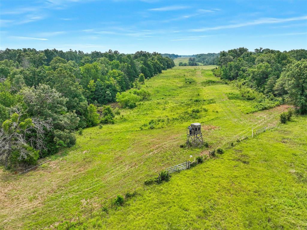 37100 County Road Sumner, TX 75486 - Photo 23 of 40 a view of a large yard with lots of green space