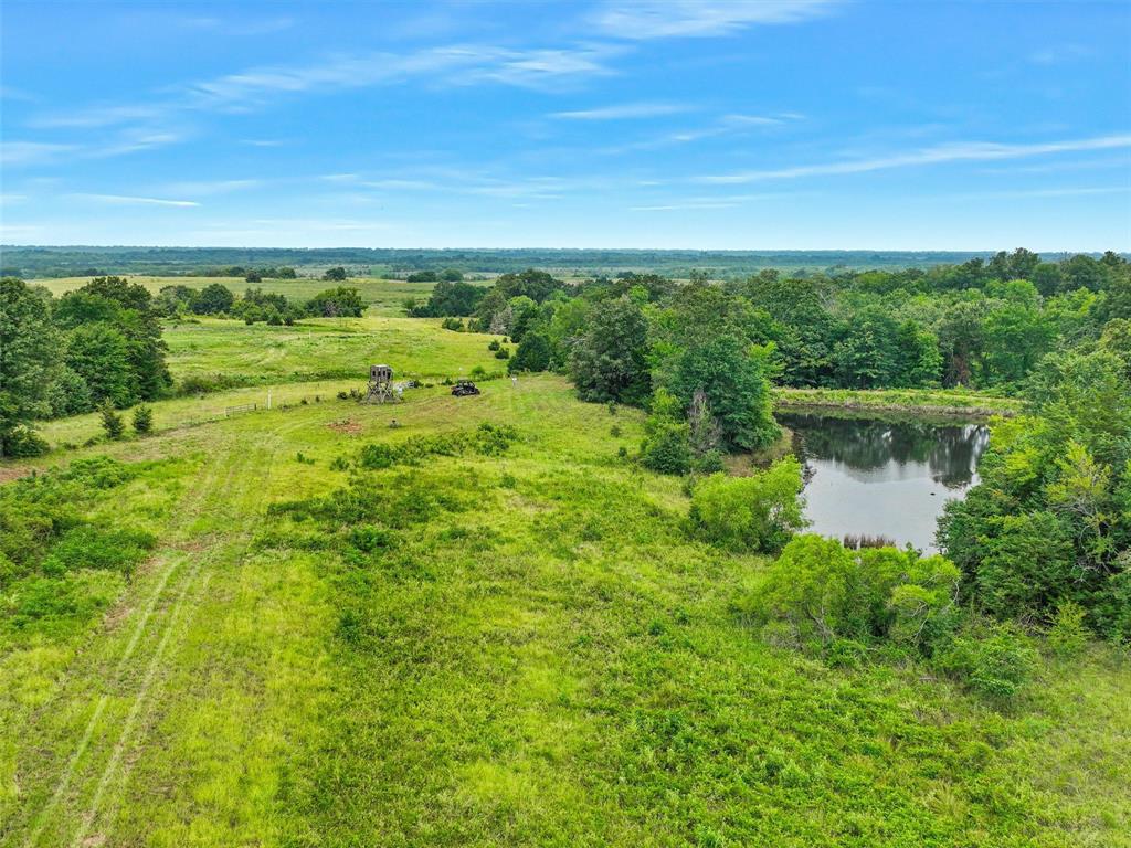 37100 County Road Sumner, TX 75486 - Photo 28 of 40 a view of a garden with lawn chairs and large trees