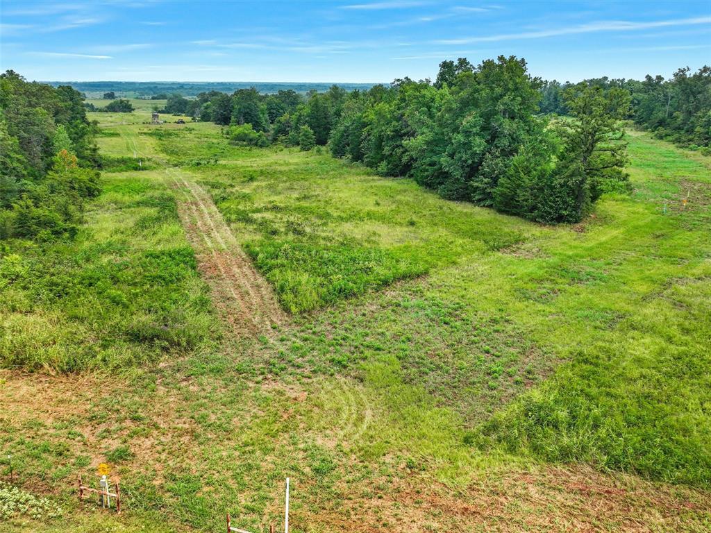 37100 County Road Sumner, TX 75486 - Photo 29 of 40 a view of a lush green space