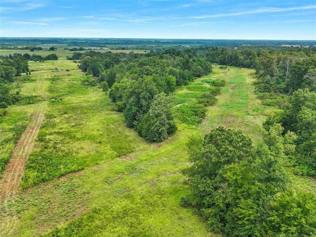 37100 County Road Sumner, TX 75486 - Photo 30 of 40 a view of a field with an ocean