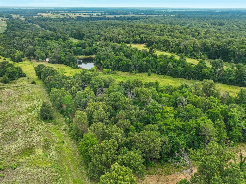 37100 County Road Sumner, TX 75486 - Photo 31 of 40 an aerial view of residential houses with outdoor space and trees