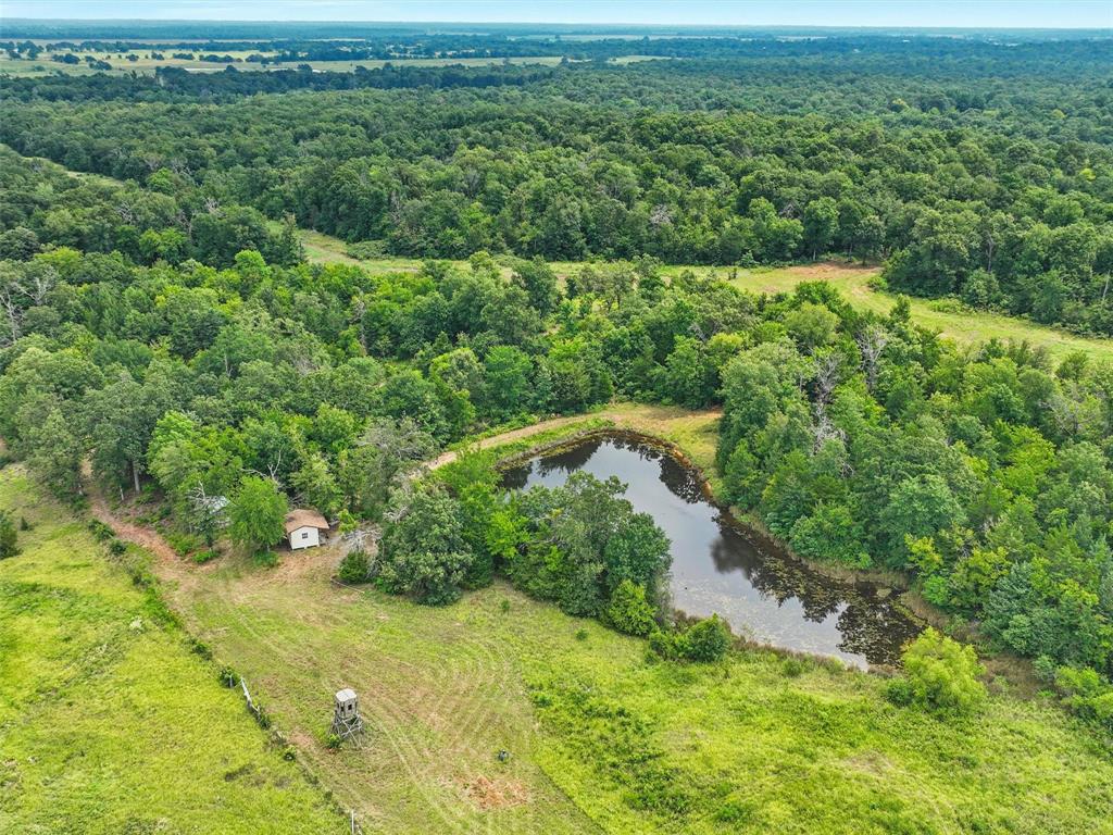 37100 County Road Sumner, TX 75486 - Photo 32 of 40