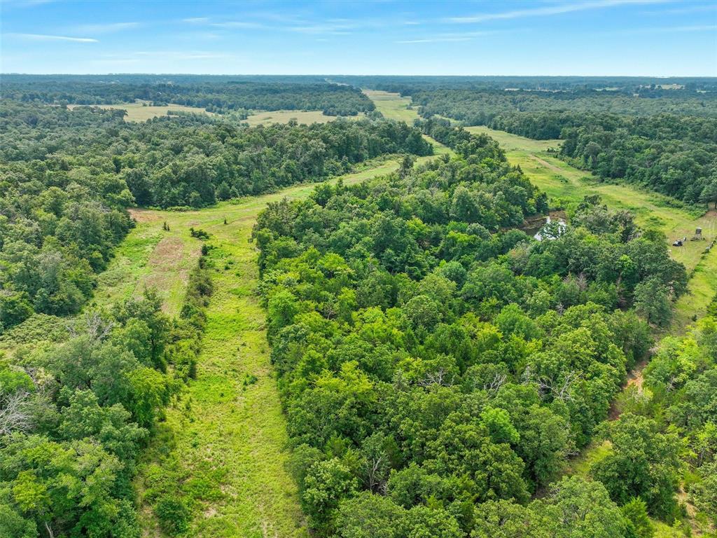 37100 County Road Sumner, TX 75486 - Photo 33 of 40 an aerial view of residential houses with outdoor space and trees