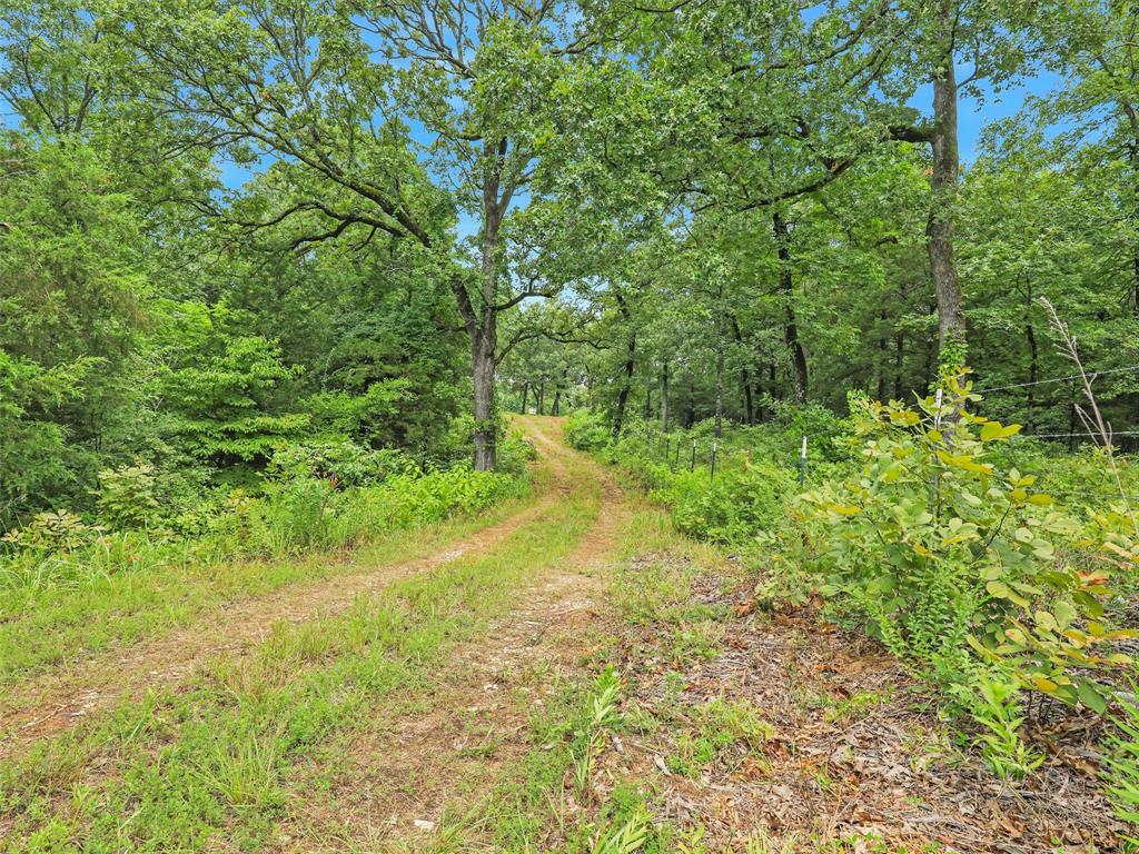 37100 County Road Sumner, TX 75486 - Photo 6 of 40 a view of yard with green space