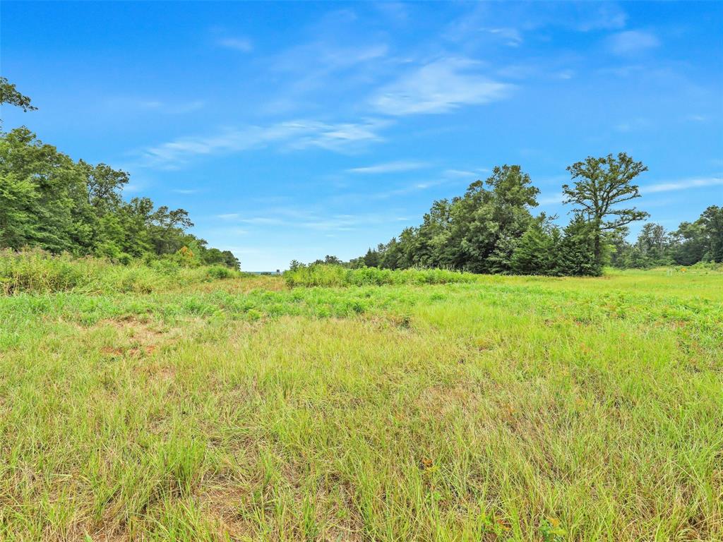 37100 County Road Sumner, TX 75486 - Photo 7 of 40