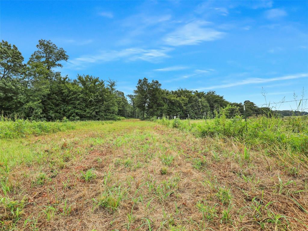 37100 County Road Sumner, TX 75486 - Photo 8 of 40 a view of a field with an ocean view