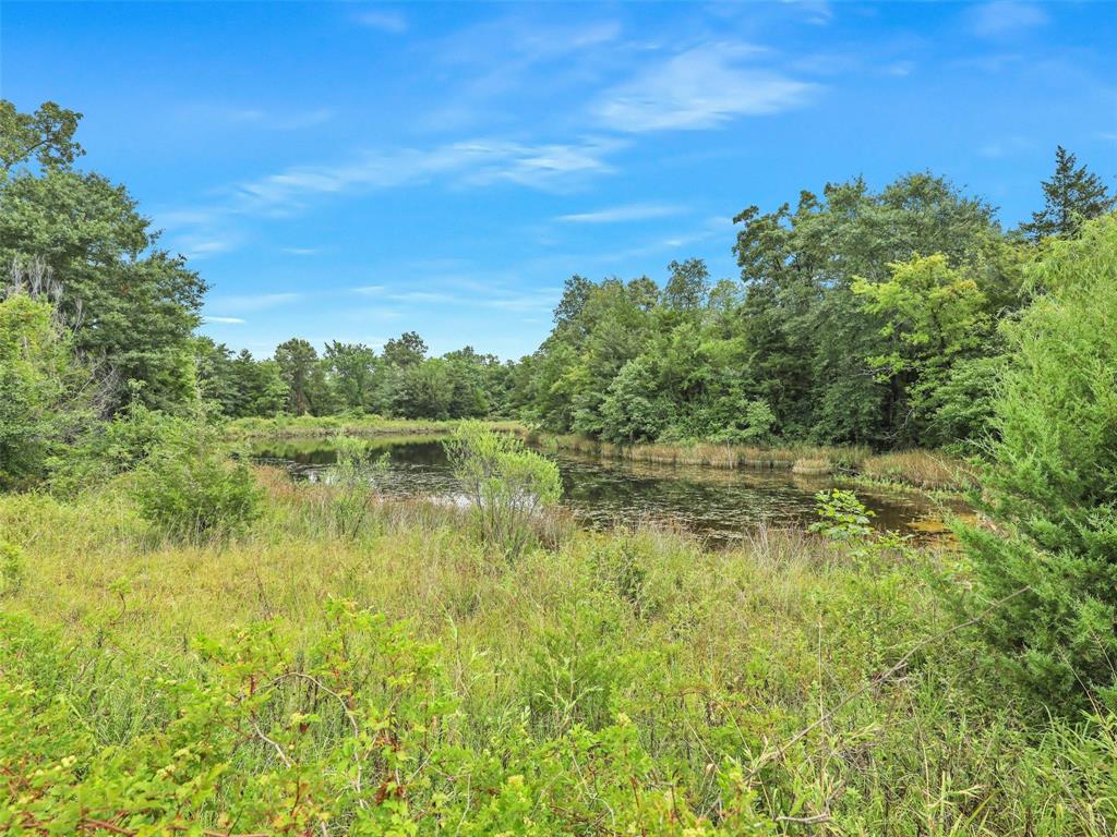 37100 County Road Sumner, TX 75486 - Photo 9 of 40 a view of lake