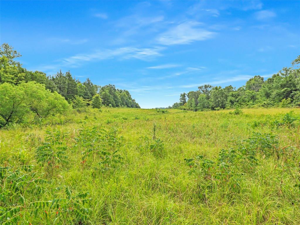 37100 County Road Sumner, TX 75486 - Photo 10 of 40 a view of a large yard with lots of green space