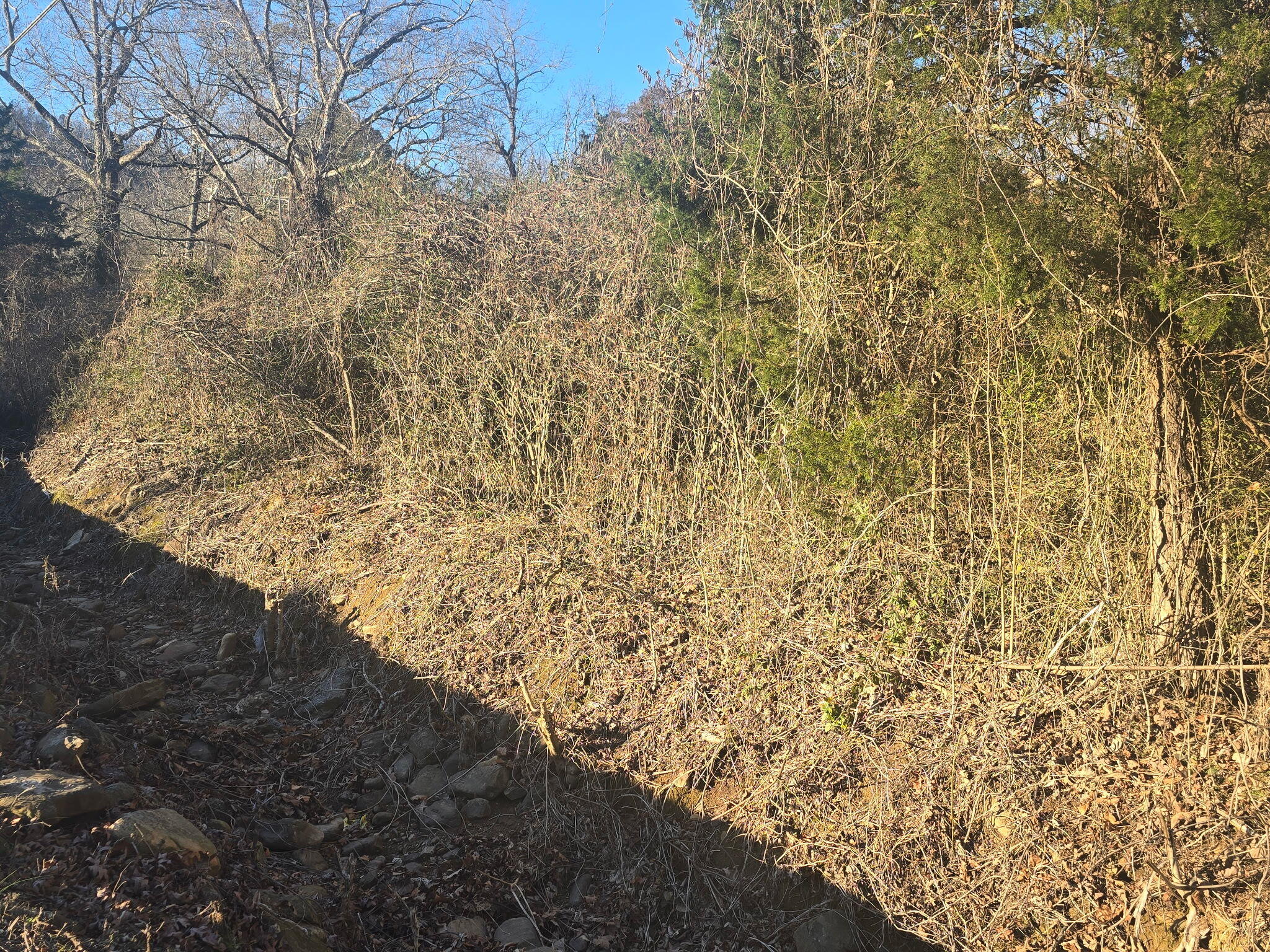 815 Retro Hughes Road Sale Creek, TN 37373 - Photo 2 of 2 6781358294135915225