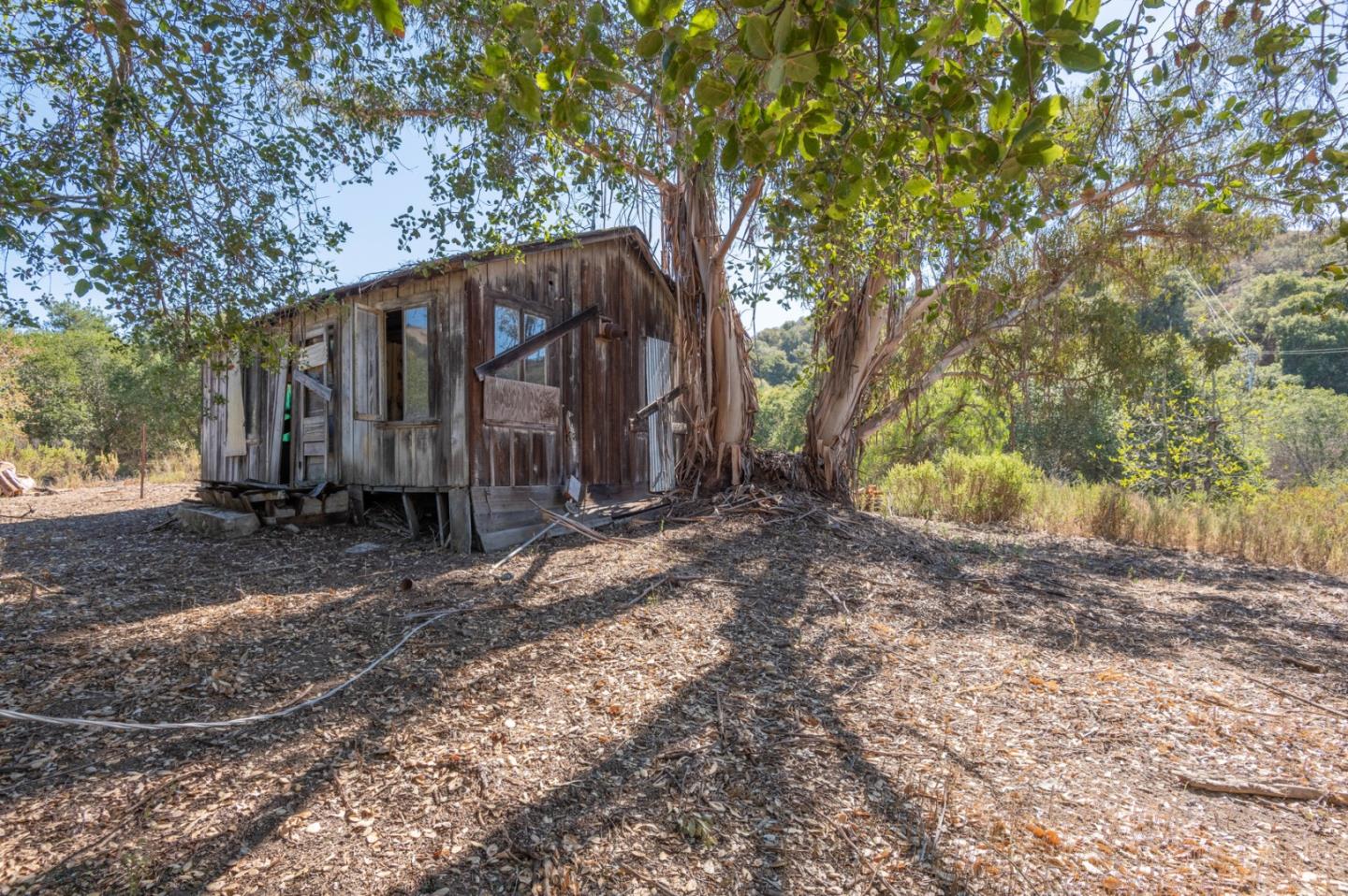 286 San Benancio Road Salinas, CA 93908 - Photo 5 of 15 a view of a backyard with large trees and wooden fence