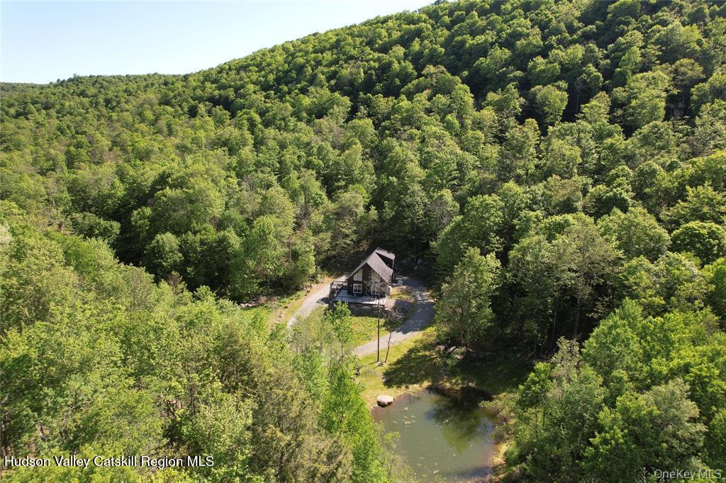 1227 Gulf Road Roscoe, NY 12776 - Photo 44 of 47 GetMedia (44)