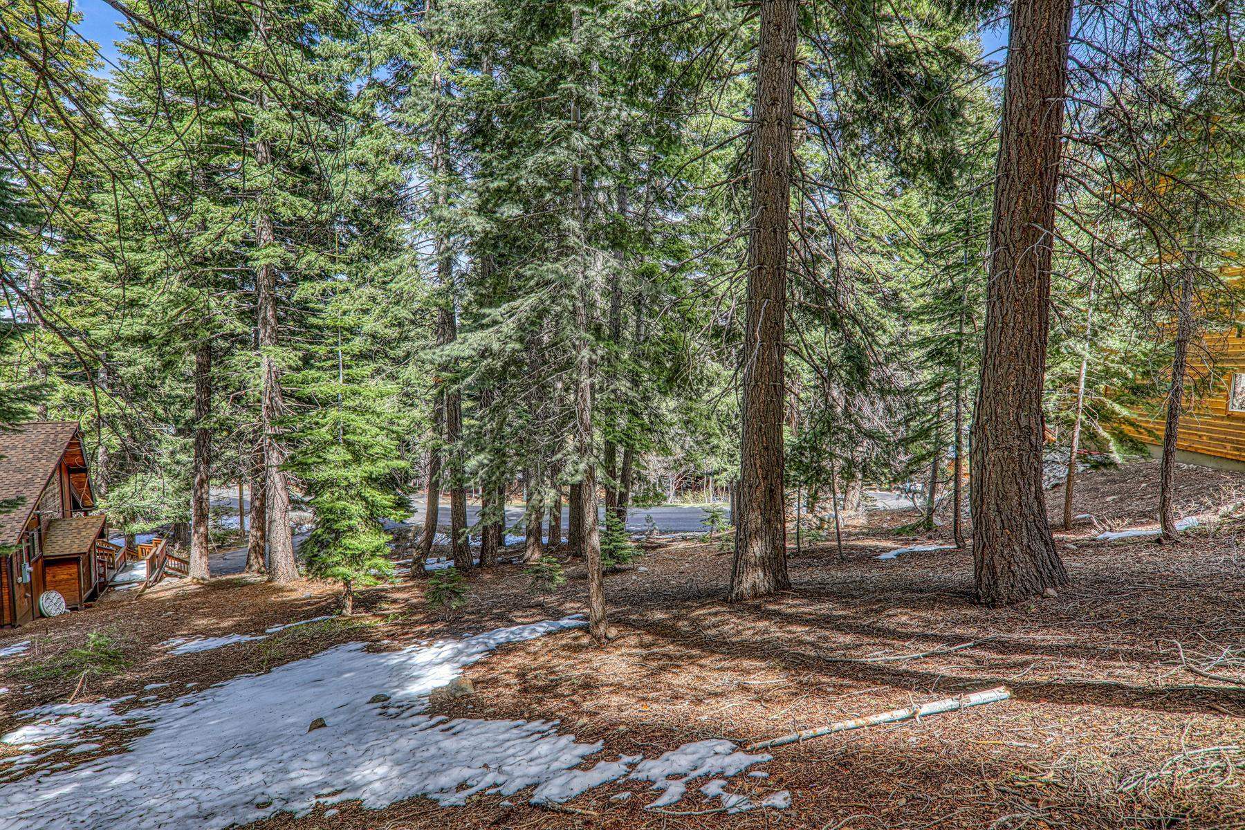 12388 Falcon Point Place Truckee, CA 96161 - Photo 7 of 8
