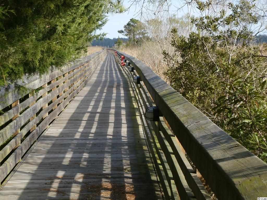 Lot 105 Richfield Road Georgetown, SC 29440 - Photo 20 of 24 Gallery Image 20