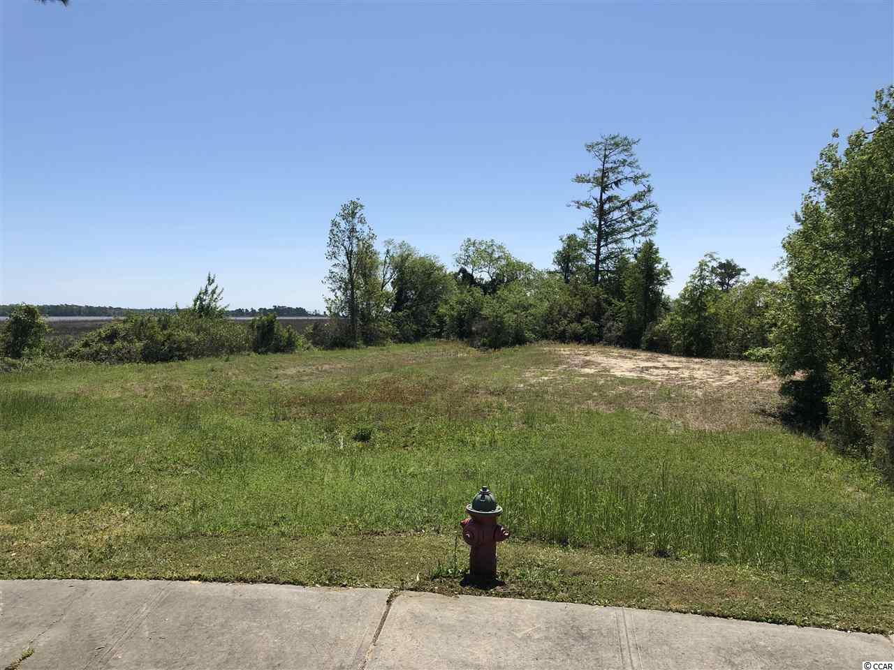 Lot 105 Richfield Road Georgetown, SC 29440 - Photo 4 of 24 Gallery Image 4