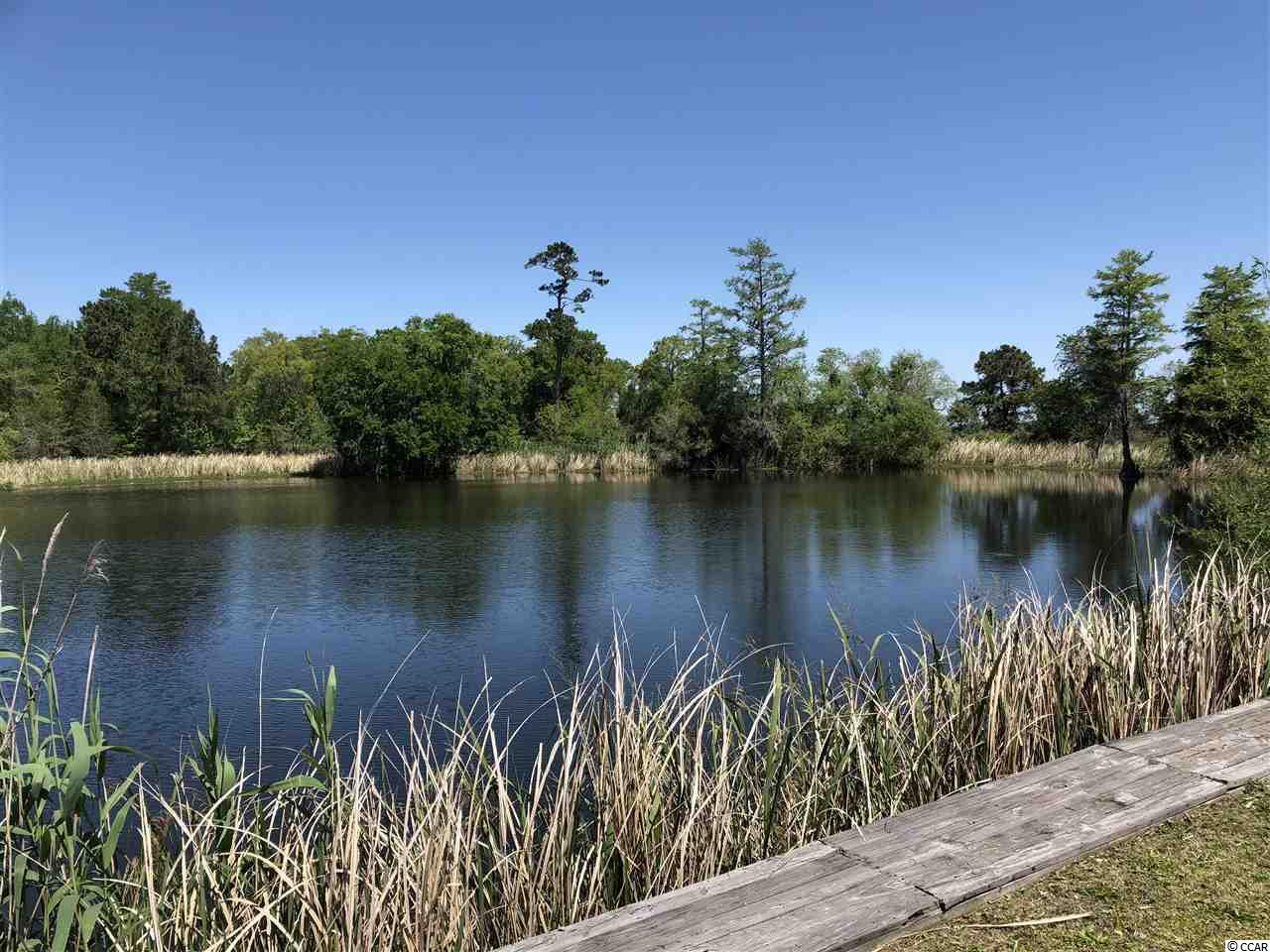 Lot 105 Richfield Road Georgetown, SC 29440 - Photo 8 of 24 Gallery Image 8