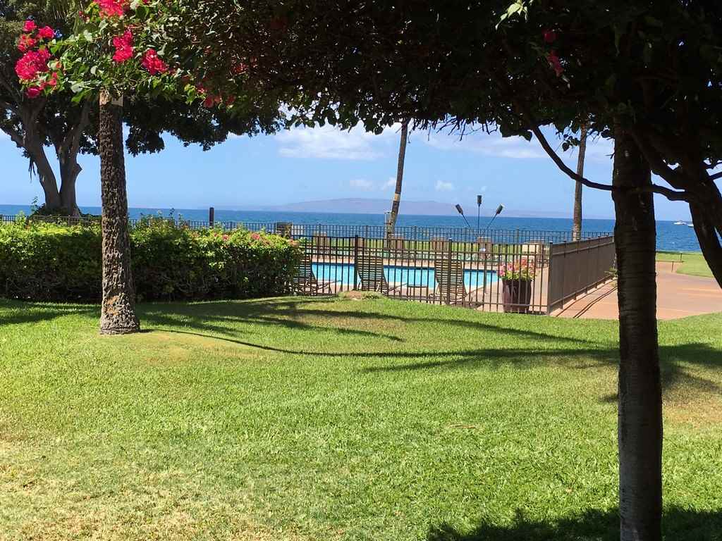 12 South Kihei Road, Unit G5 Kihei, HI 96753 - Photo 28 of 28 a view of a garden and basketball court