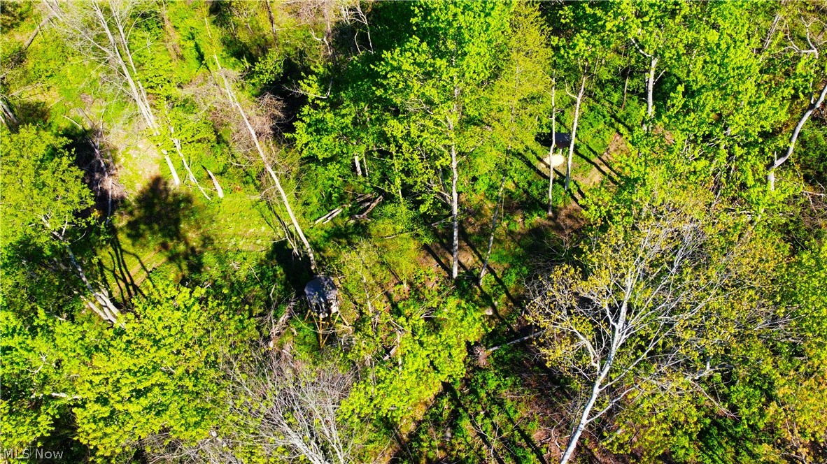 Patton Road Jewett, OH 43986 - Photo 13 of 42