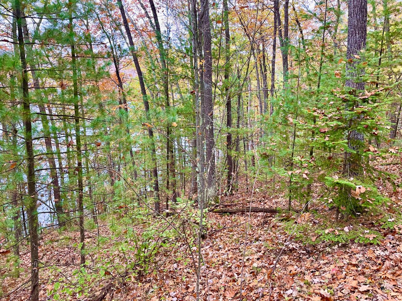 On On Witches Lake Road Woodruff, WI 54568 - Photo 6 of 13 Gallery Image 6