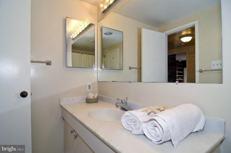 3225 Grace Street Northwest, Unit 223 Washington, DC 20007 - Photo 8 of 18 Bath (Master)