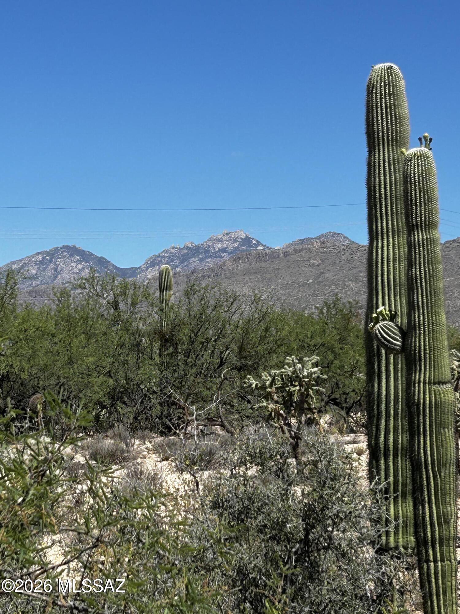 East Roger Road, Unit 46 Tucson, AZ 85749 - Photo 2 of 38