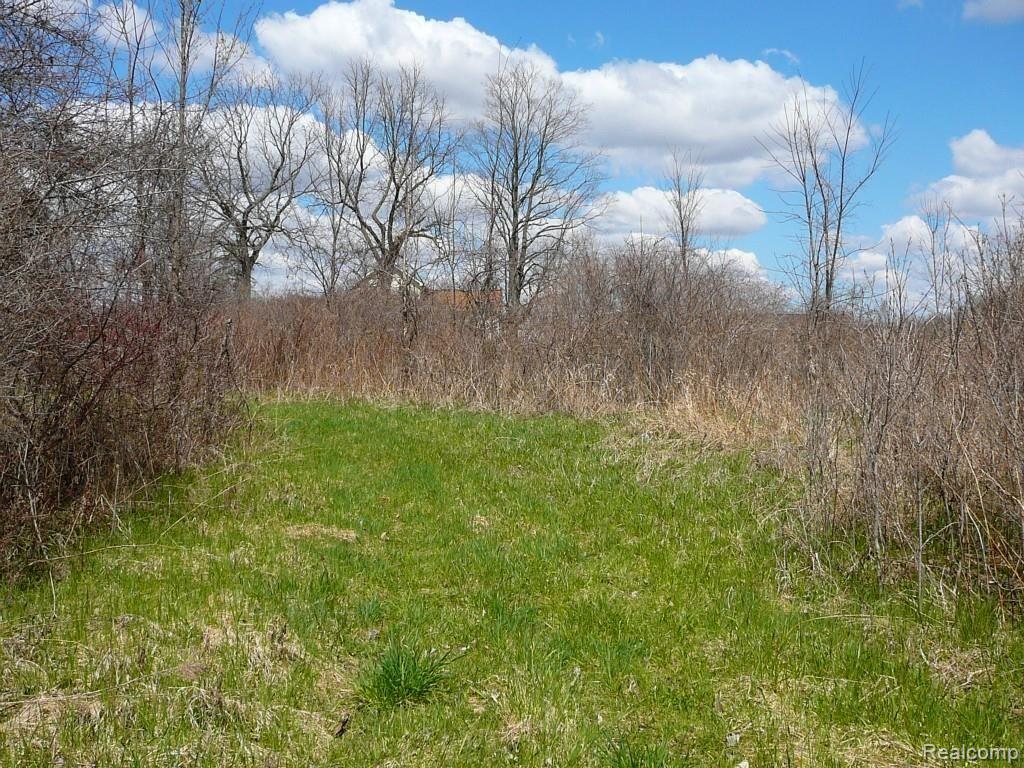 0 Brimley Road West Webberville, MI 48892 - Photo 33 of 36 2015-04-26 12.15