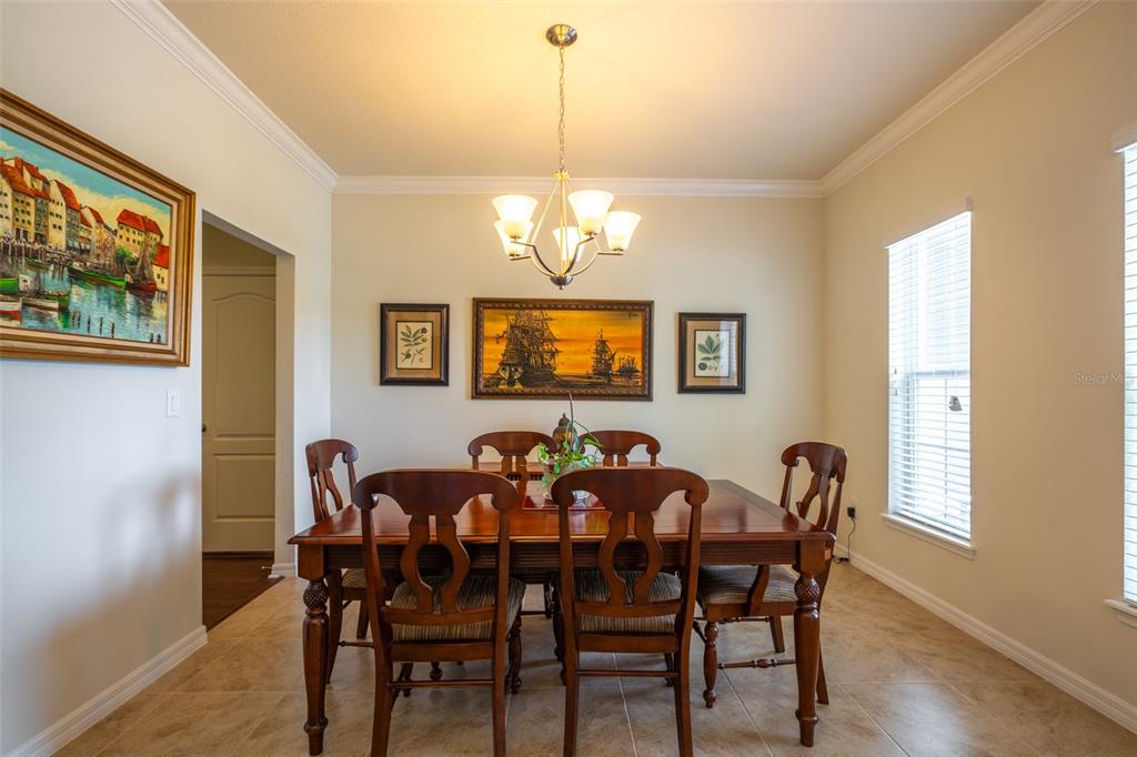 11038 Spring Point Circle Riverview, FL 33579 - Photo 3 of 27 Gallery Image 3