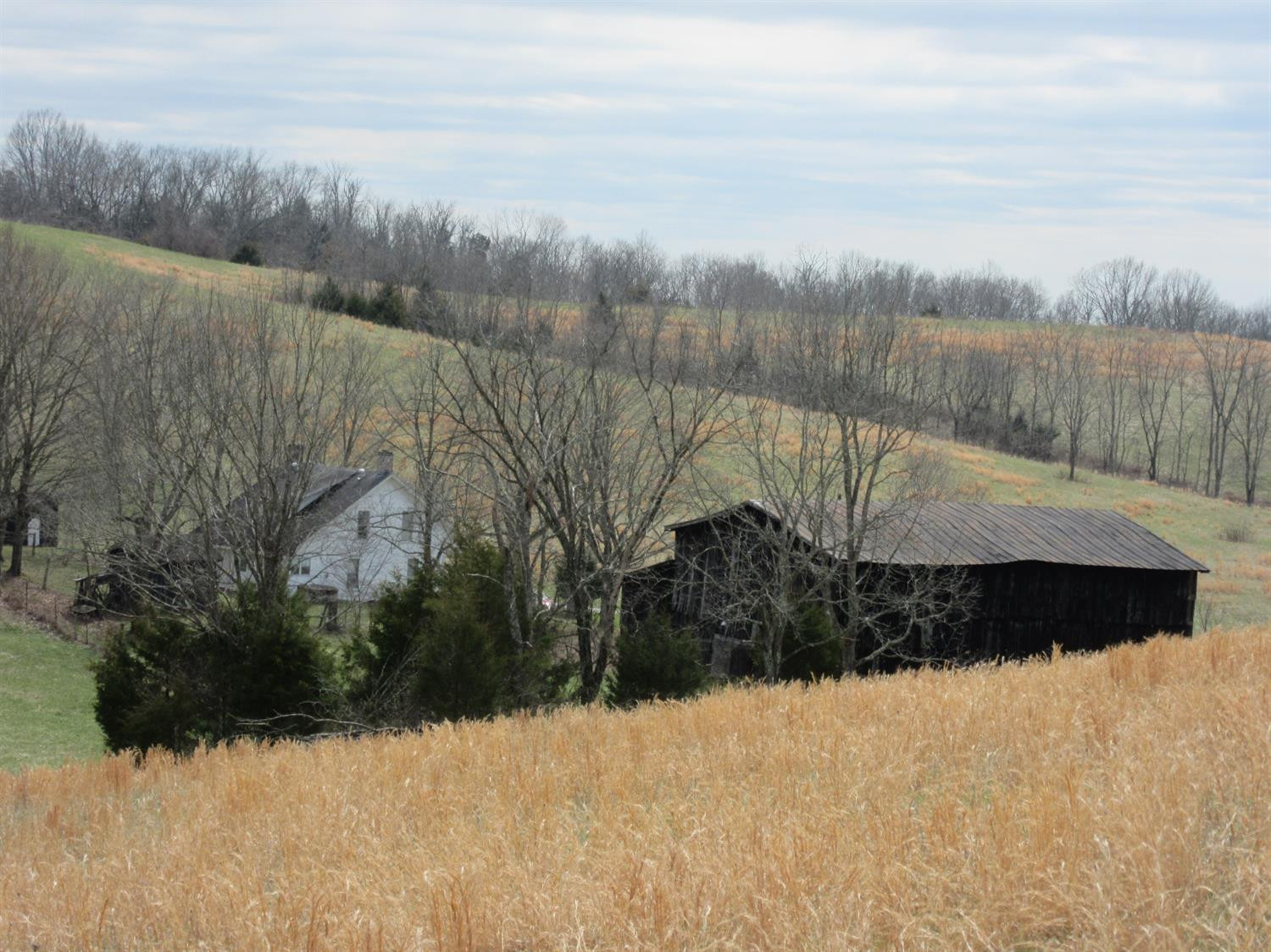 4885 Owenton Road Stamping Ground, KY 40379 - Photo 59 of 69 Photo 59