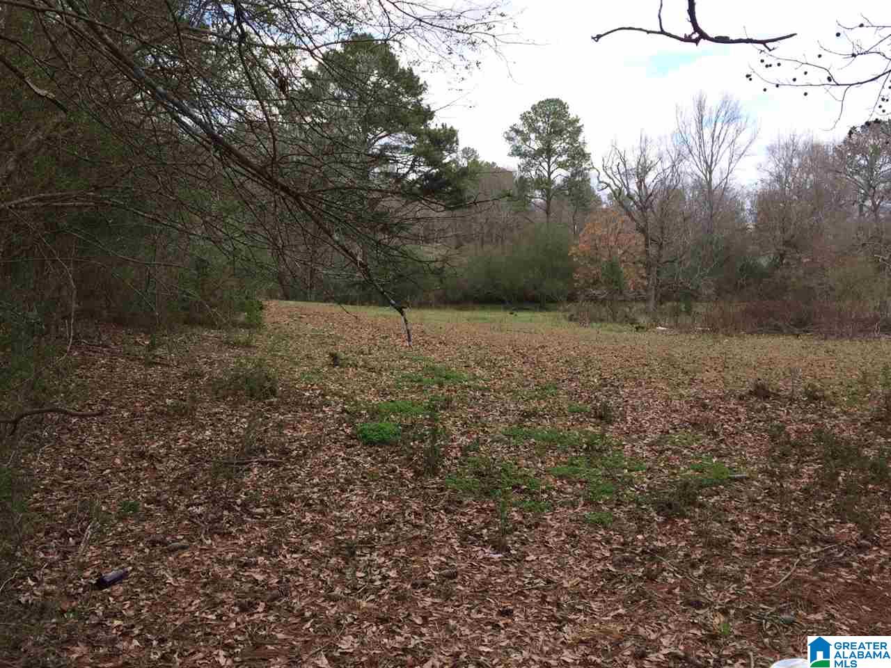 769 Chandler Mountain Road Steele, AL 35987 - Photo 39 of 41