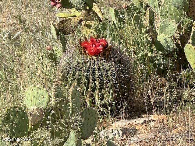 8167 South Pistol Hill Road Vail, AZ 85641 - Photo 17 of 36