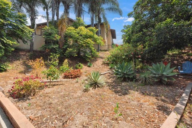 a view of a garden with plants