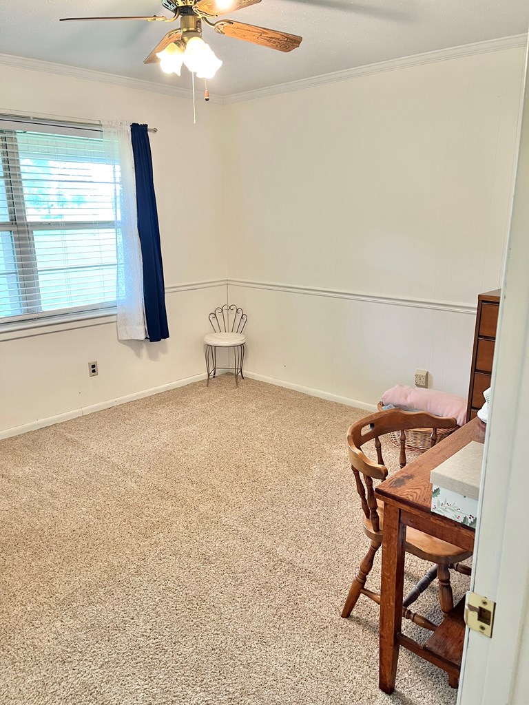 869 Bethlehem Road Midland City, AL 36350 - Photo 24 of 41 Gallery Image 24