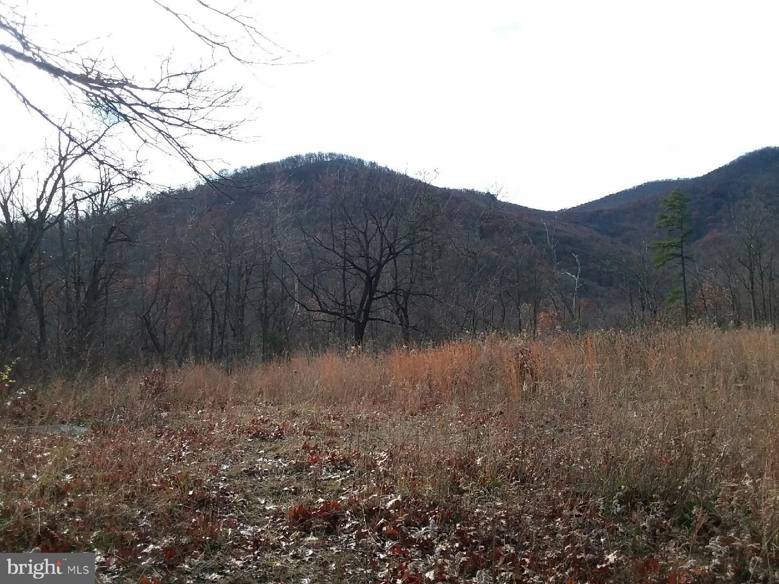 Lower Valley Road Strasburg, VA 22657 - Photo 3 of 8 views