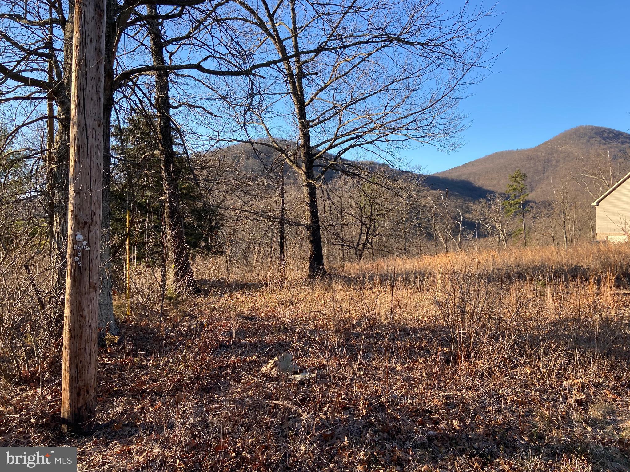 Lower Valley Road Strasburg, VA 22657 - Photo 4 of 8