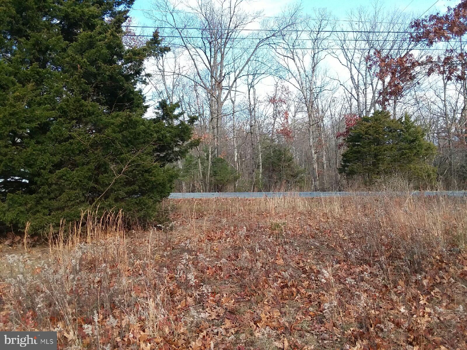 Lower Valley Road Strasburg, VA 22657 - Photo 6 of 8