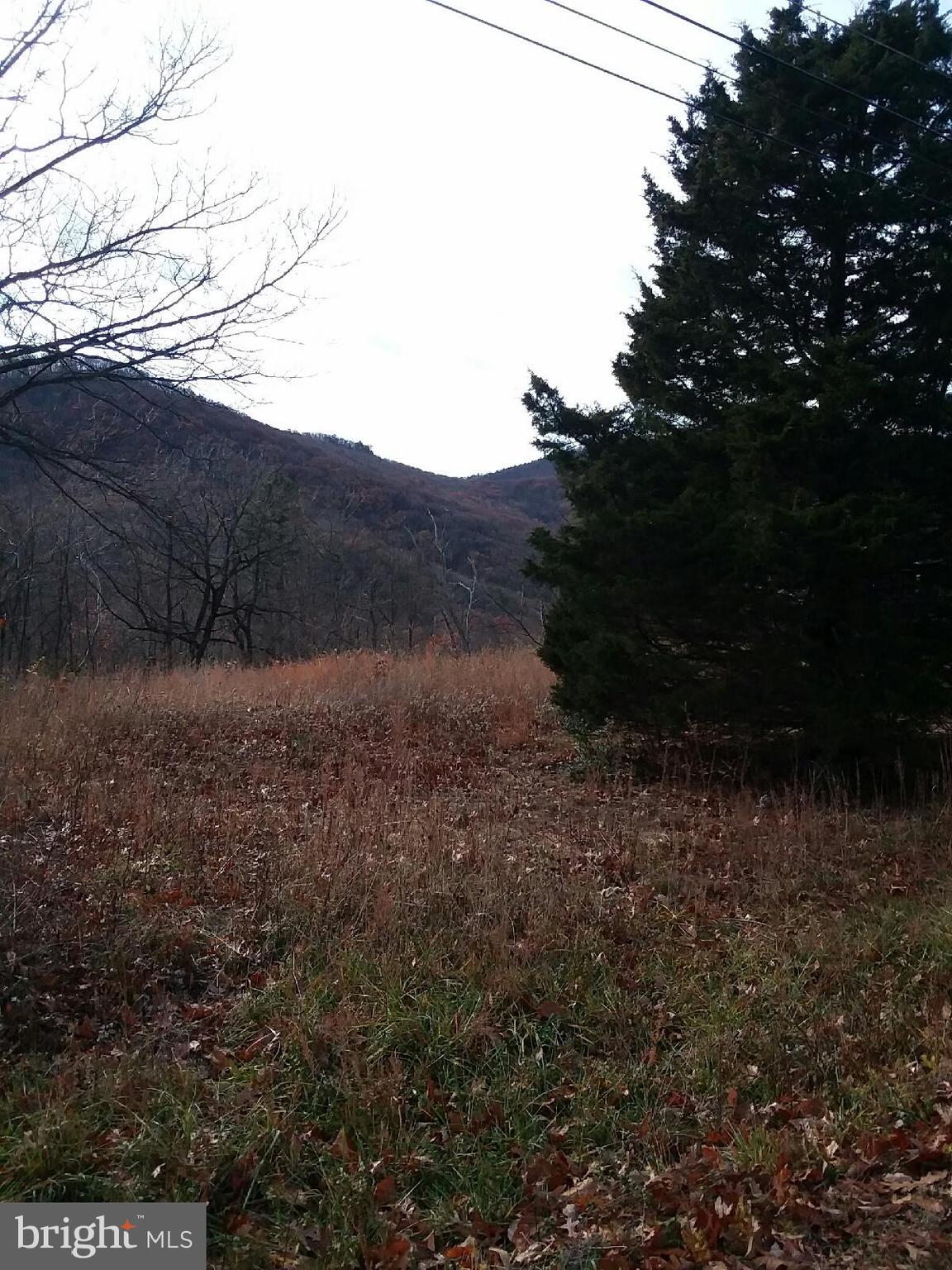 Lower Valley Road Strasburg, VA 22657 - Photo 7 of 8