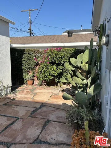 a view of a garage with a lot of flower plants