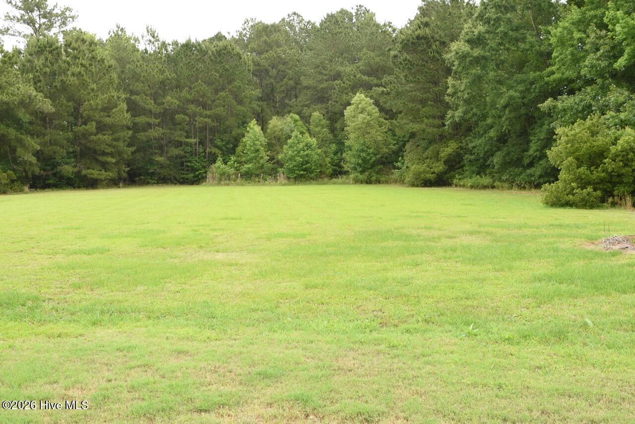 1430 Nixonton Road Elizabeth City, NC 27909 - Photo 7 of 30 Explore in the woods as they are part of the 3.62 acres.