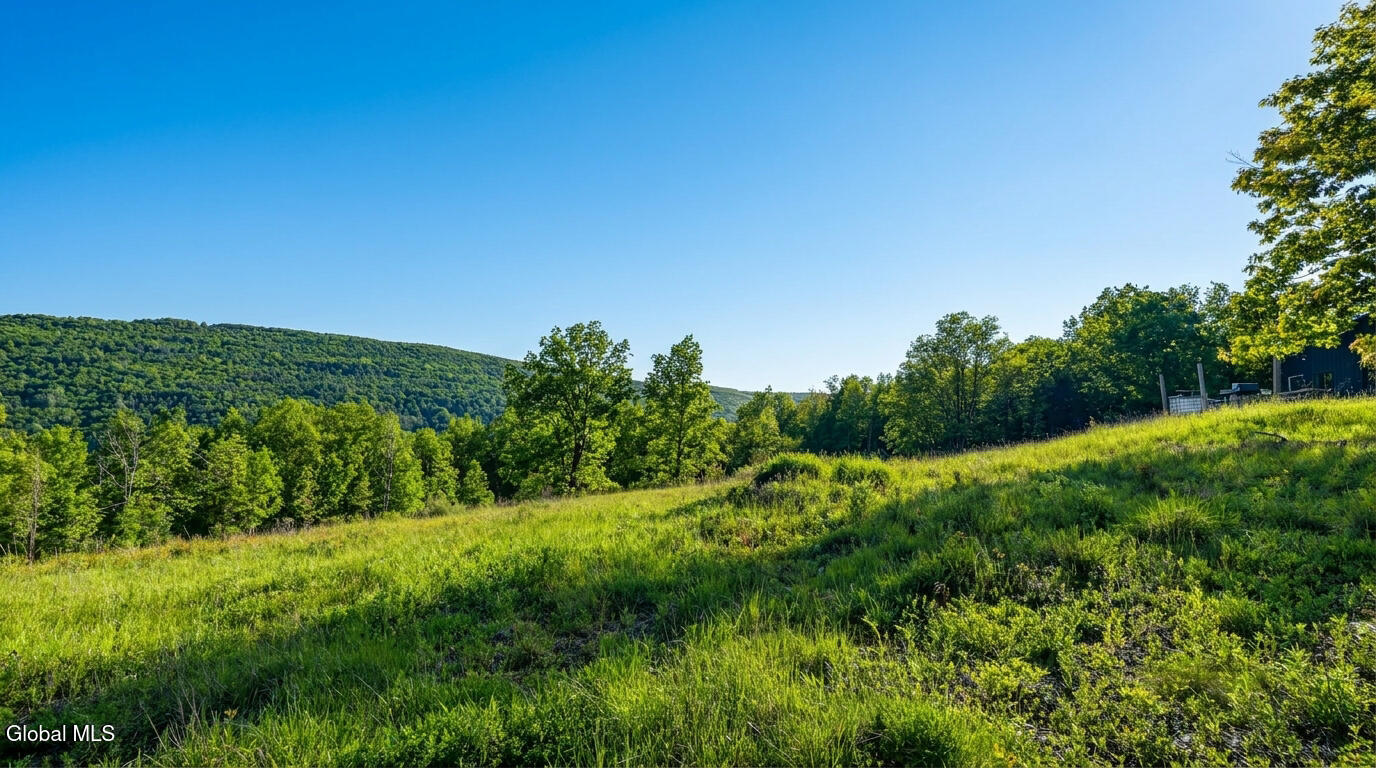 L10.10 Cheese Hill Road Preston Hollow, NY 12469 - Photo 13 of 56 10.10-Cheese-Hill-Rd-Rensselaerville-ext