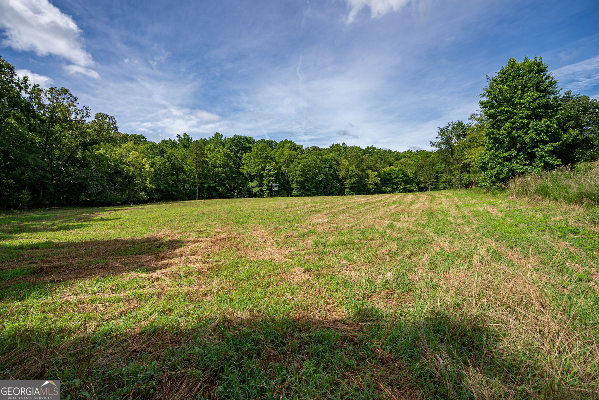 2286 Duffell Martin Road Comer, GA 30629 - Photo 22 of 81