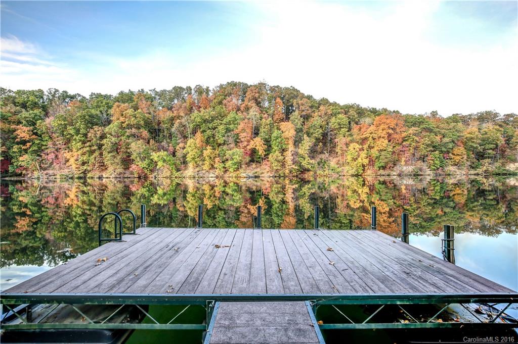 1243 South Cove Road Mill Spring, NC 28756 - Photo 3 of 24
