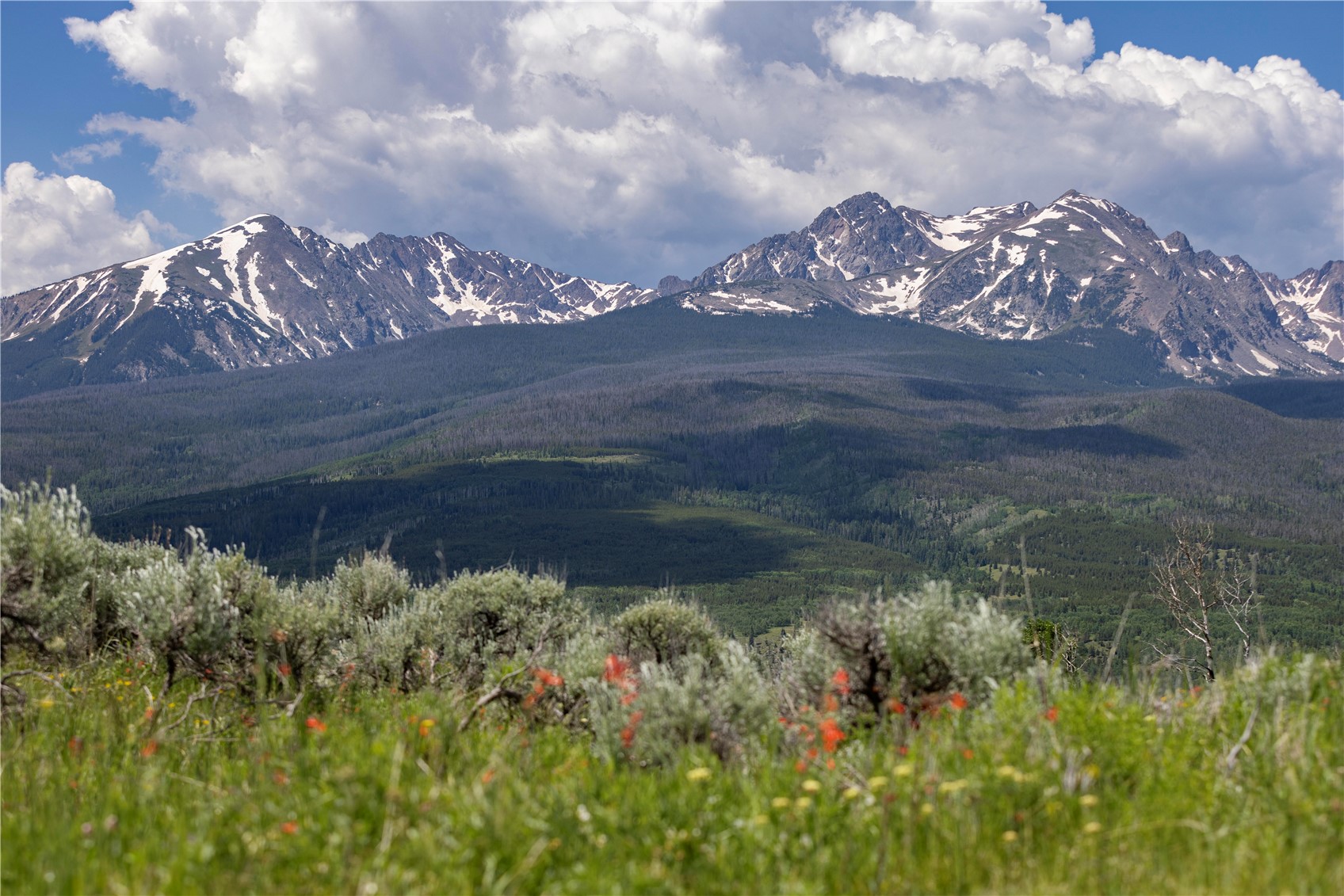 881 Antler Road Silverthorne, CO 80498 - Photo 5 of 40 Gallery Image 5