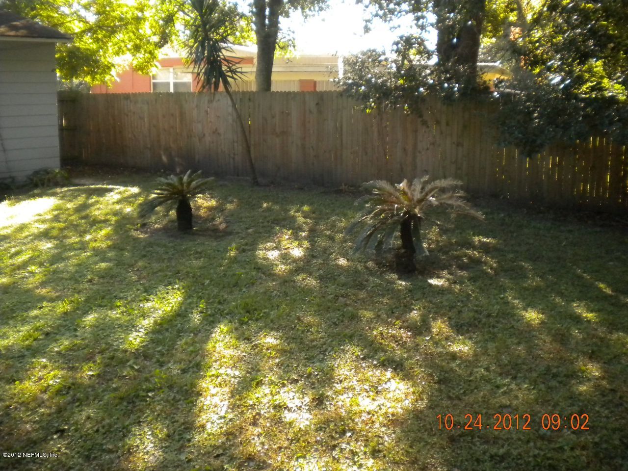 1062 Ibis Road Jacksonville, FL 32216 - Photo 14 of 15 Backyard