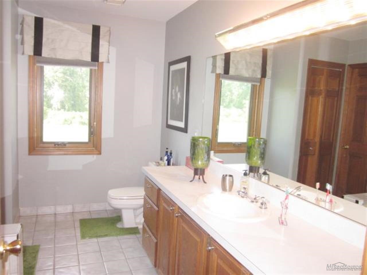 77415 Foxridge Lane Romeo, MI 48065 - Photo 12 of 20 Large vanity