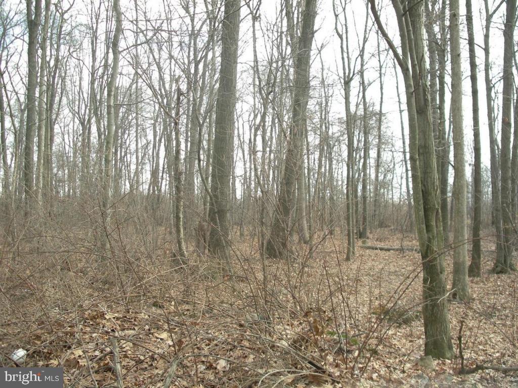 554 Edwards Road Narvon, PA 17555 - Photo 11 of 11 Gallery Image 11
