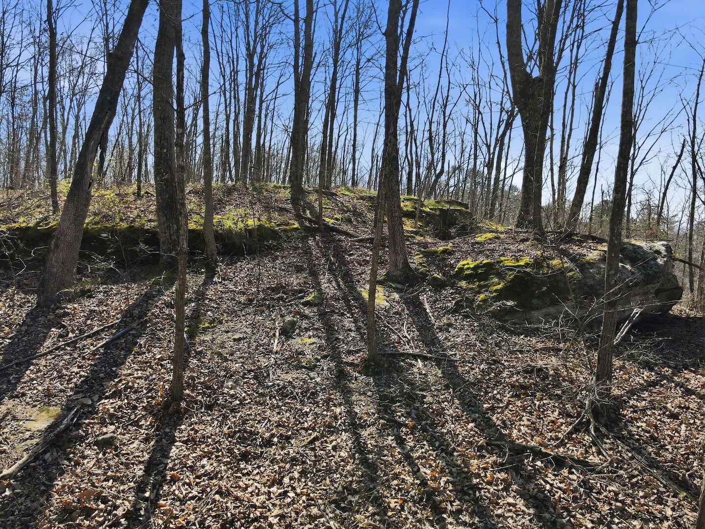 0 Roberts Road Jackson, OH 45640 - Photo 16 of 42 16-web-or-mls-DJI_0590