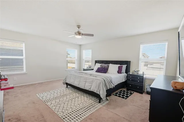 a bedroom with a large bed and a window