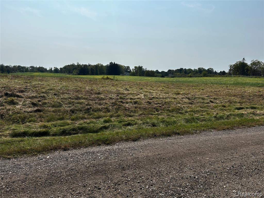 Parcel N North Hacker Road Howell, MI 48843 - Photo 6 of 13